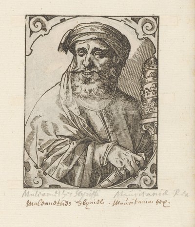 Portrait of Muleamethes Scyriffi by Anonymous