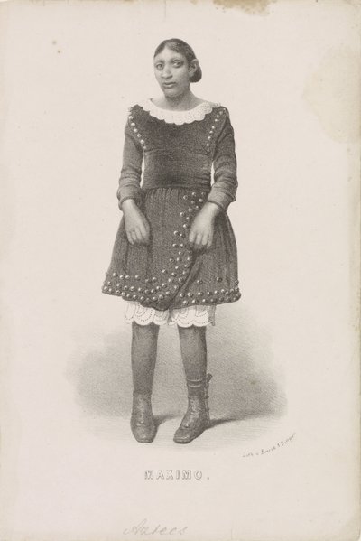 Portrait of Máximo, 1857 by Anonymous