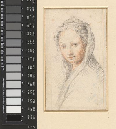 Portrait of a Woman by Anonymous