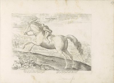 Racehorse with Rider Equus Maurus (title on object) Horse Breeds from the Royal Stables of Don Juan of Austria (series title) by Anonymous
