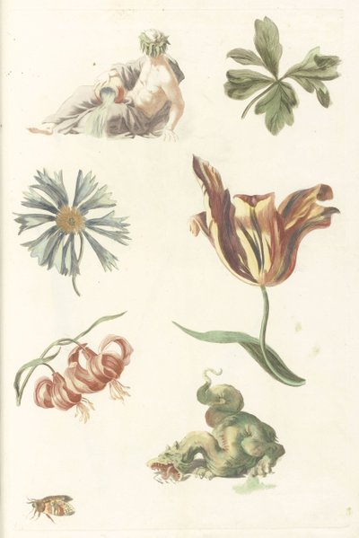 River God, a Dragon, and Four Flowers by Anonymous