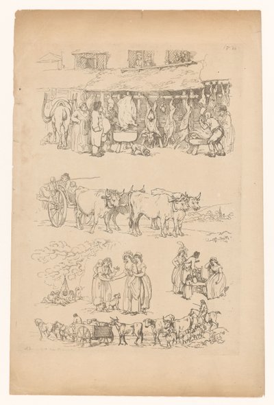 Scenes from Country Life by Anonymous
