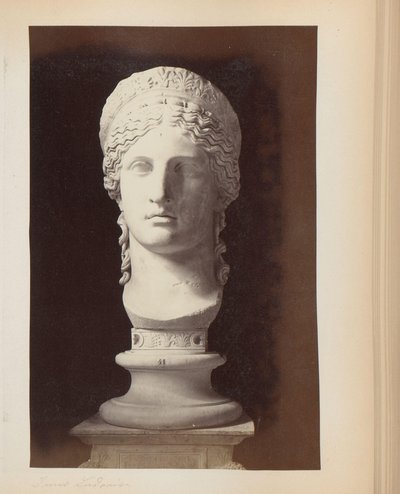 Sculpture of Juno Ludovisi in the Palazzo Altemps in Rome, Italy by Anonymous