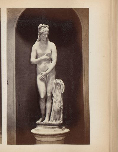 Sculpture of Venus in the Capitoline Museums in Rome, Italy by Anonymous