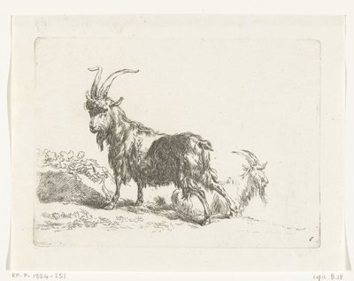 Standing and Lying Goat or Buck by Anonymous