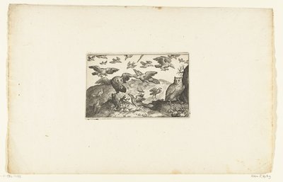 Standing Owl and Owl Attacked by Birds (series title) by Anonymous