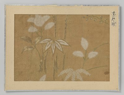 Textile Fragment by Anonymous