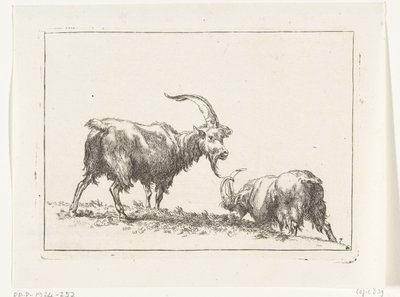 Two Goats or Bucks by Anonymous