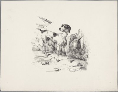 Two Dogs by a Fence by Anonymous