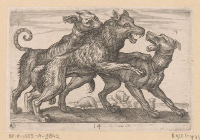 Two Dogs Fighting a Wolf by Anonymous