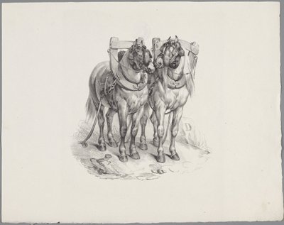 Two Harnessed Horses by Anonymous