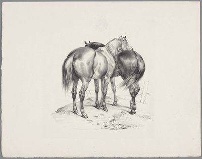 Two horses seen from behind (Six small animal studies series) by Anonymous
