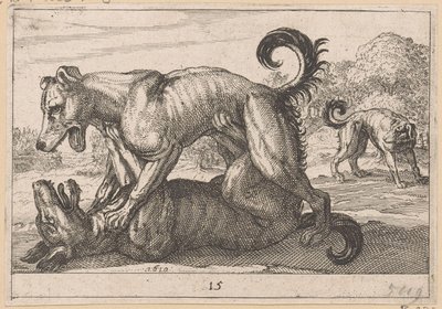 Two Mating and Two Fighting Dogs (Fighting Animals) by Anonymous