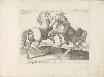 Two fighting horses by Anonymous