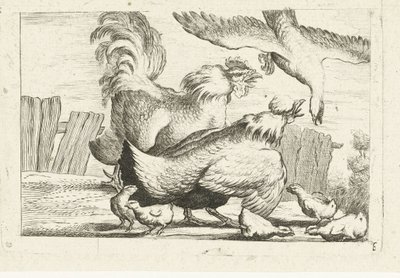 Falcon Attacking a Group of Chickens with Chicks (Inheemse vogels) by Anonymous