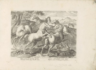 Fighting horses with a trampled horse by Anonymous