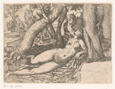 Venus Awakened by a Satyr by Anonymous