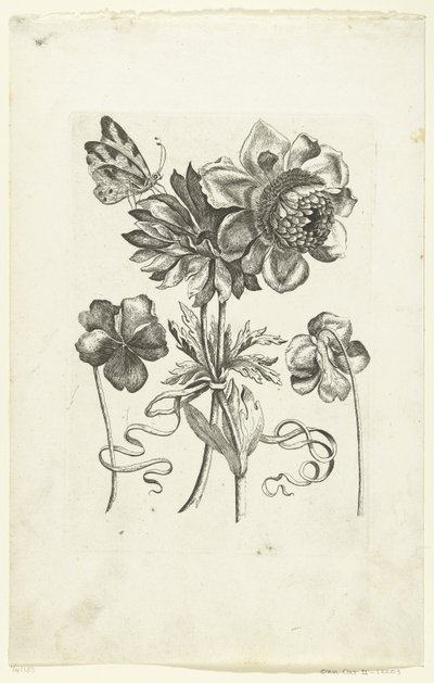Four Flowers, Including Two Violets Novae Florum Icones (series title) by Anonymous
