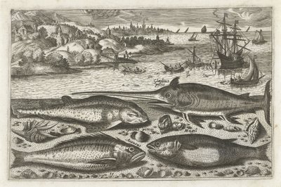 Four fish on the beach (Fish series) by Anonymous