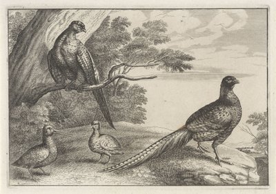 Four Birds by Anonymous