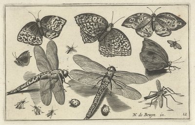 Butterflies and Dragonflies by Anonymous