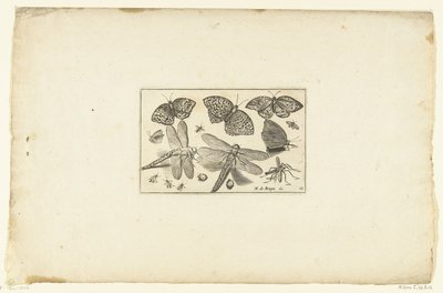 Butterflies and Dragonflies (series title) by Anonymous