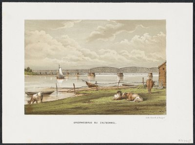Waal Bridge at Zaltbommel, 1869, The Principal Railway Bridges in the Netherlands (series title) by Anonymous
