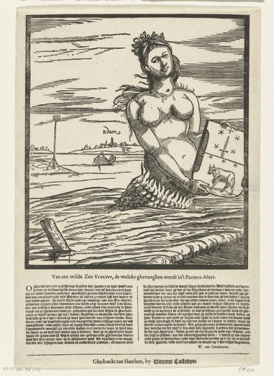 Mermaid of Edam, 1403 by Anonymous