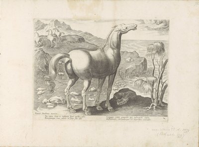 Zephyrus Impregnates a Mare (Horse Breeds from the Royal Stables of Don Juan of Austria) by Anonymous