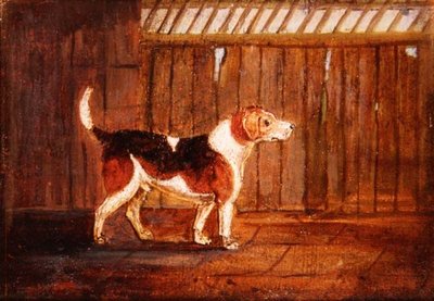 A Hound by Anonymous Anonymous