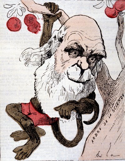 Caricature of Charles Robert Darwin (1809 - 1882) in La Lune by Anonymous Anonymous