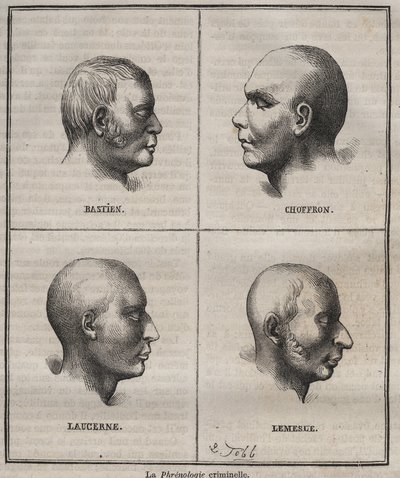 Criminal Phrenology in the Brest Bagne (portraits depicting the physiognomic characteristics of different types of criminals). Engraving in Histoire des bagnes depuis leur création à nos jours (1877) by Pierre Zaccone. by Anonymous Anonymous