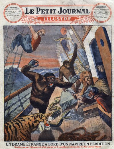 Drama about the French Liner “Saint Etienne”: Gorillas, Tiger, Lion and Snake Destined for English Zoological Gardens Escaped from Their Cage and Attacked the Crew Members. Engraving. One of “The Little Journal Illustrates” by Anonymous Anonymous