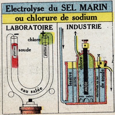 Electrochemistry: electrolysis of sea salt or sodium chloride. Anonymous illustration from 1925. Private collection. by Anonymous Anonymous