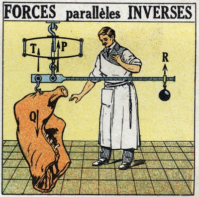Forces: Reverse Parallel Forces. A Butcher Weighing a Meat Carcass with a Roman Scale. Anonymous Illustration from 1925. Private Collection by Anonymous Anonymous