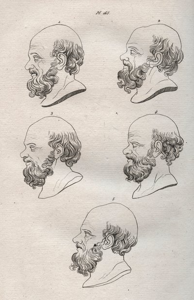Physiognomy - Several Heads of the Greek Philosopher Socrates (ca. 469 BC-399 BC) - engraving of 1808 in 