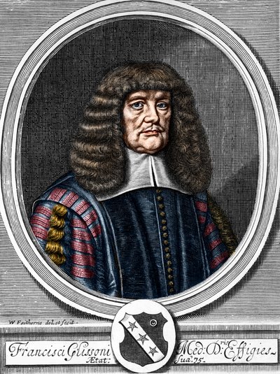 Portrait of Francis Glisson, British physician, anatomist. by Anonymous Anonymous