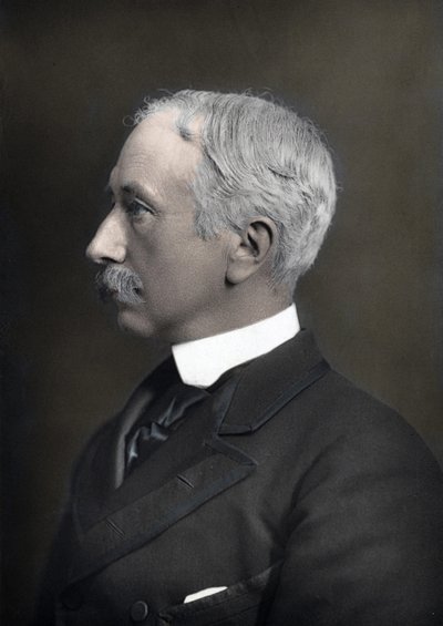 Portrait of the Marechal Viscount Garnet Joseph Wolseley (1833-1913), Commander-in-Chief of the British Army by Anonymous Anonymous