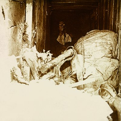 Stereoscopic Glass Plate on the First World War by Anonymous Anonymous