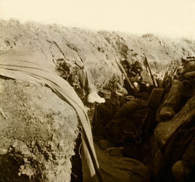 Stereoscopic glass plate on the First World War by Anonymous Anonymous