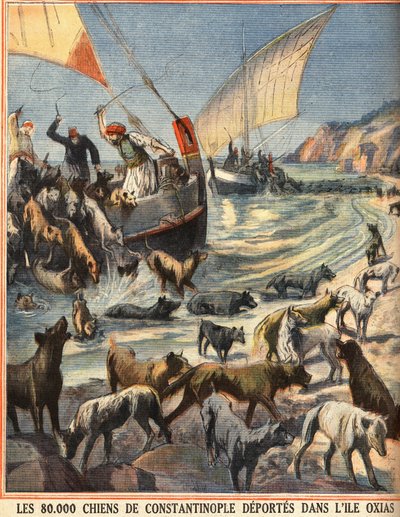 The 80,000 Stray Dogs from Constantinople Depart to the Island of Oxias (engraving) by Anonymous Anonymous