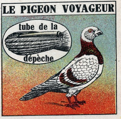 The Post Office: The Traveller Pigeon. Anonymous illustration from 1925. Private collection. by Anonymous Anonymous