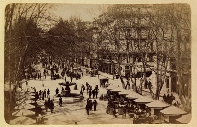 The City of Marseille and Its Surroundings Circa 1885-1890: The Flower Walk, Courses Saint Louis by Anonymous Anonymous