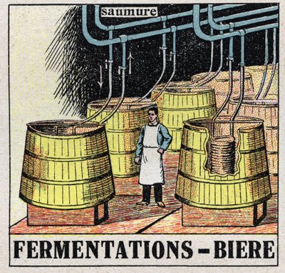 The cold industry: malt fermentations to produce beer. Anonymous illustration from 1925. Private collection. by Anonymous Anonymous