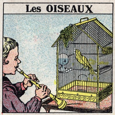 The Effects of Music: The Sound of a Flute Makes a Bird Sing in a Cage. Anonymous illustration from 1925. Private Collection by Anonymous Anonymous