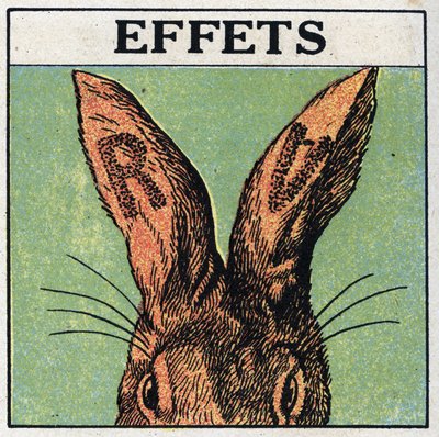 Ultraviolet rays: effects. We cover the ears of a rabbit with black cardboard or cut the letters R and V, then we expose the animal to the ultraviolet rays of a mercury lamp: the ears show traces of burning identical to those of a sunburn. Anonymous illust by Anonymous Anonymous