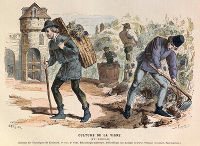 Vine cultivation in the 15th century - Viticulture by Anonymous Anonymous