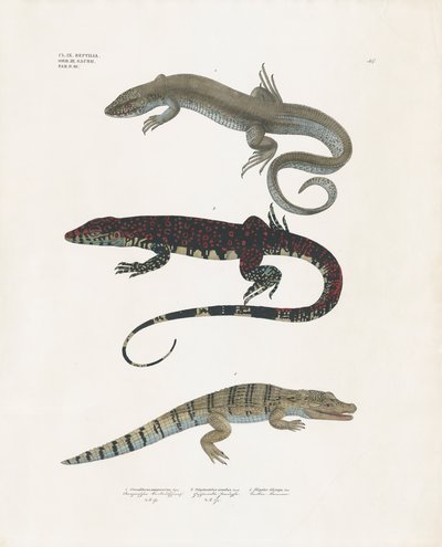  by Anstalt Arnz & Co.