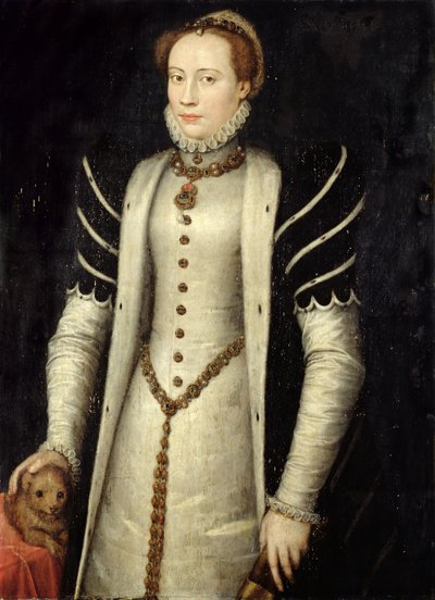 Portrait of a Noblewoman with a Puppy by Anthonis Mor