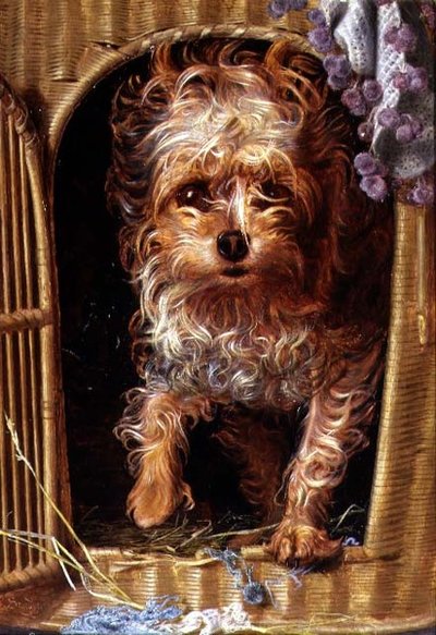 Darby, a Yorkshire Terrier by Anthony Frederick Augustus Sandys